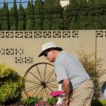 Picnic_DR_024 (July 06, 2019)